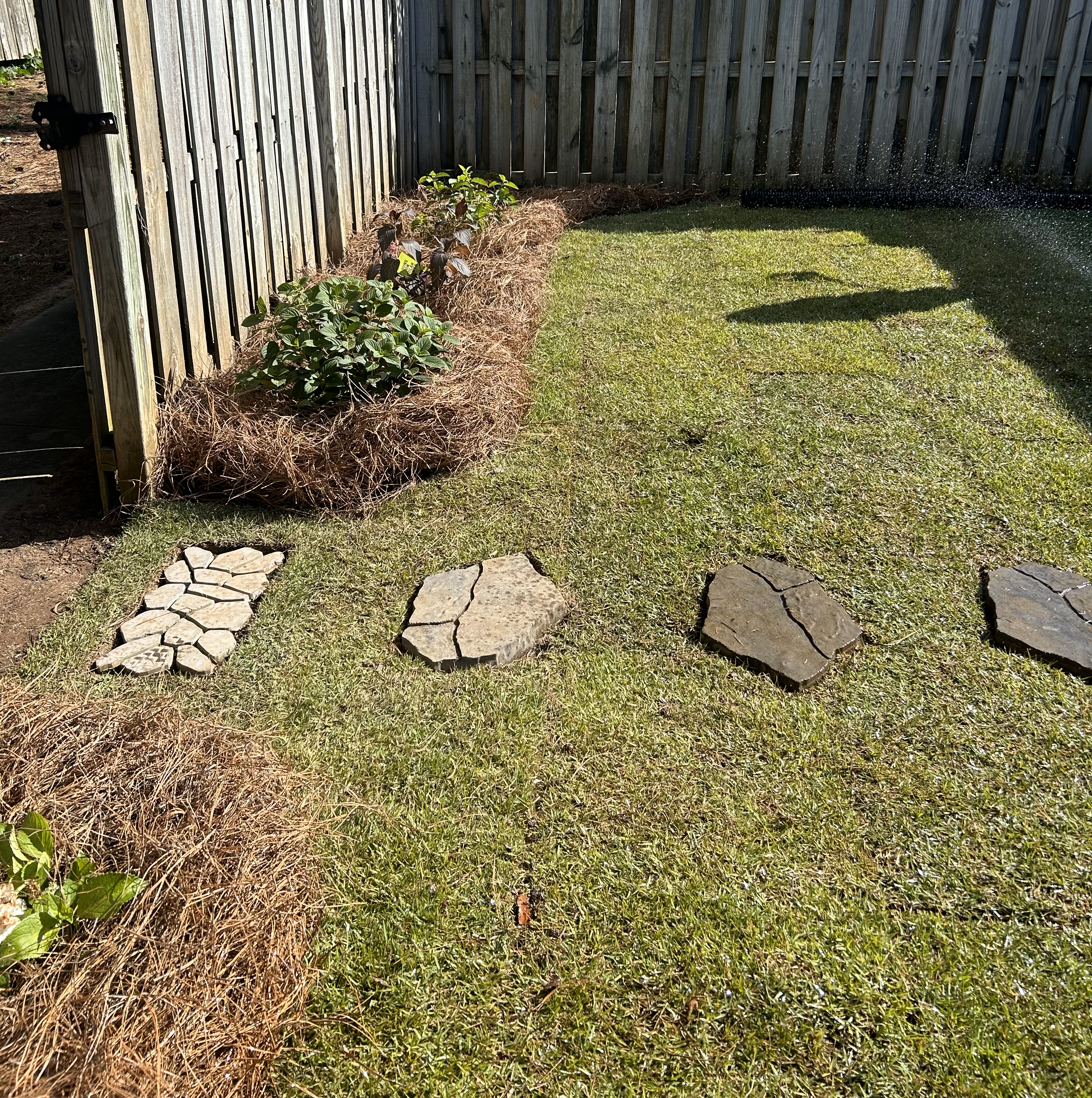 Beautifully mowed lawn